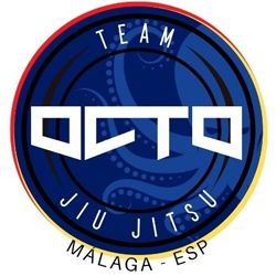 Logo Octo Team